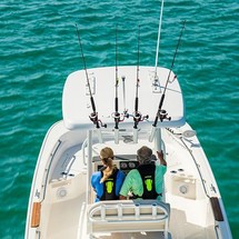 Boston Whaler 210 Montauk