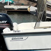 Boston Whaler 190 Outrage