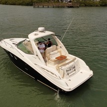 Sea Ray 330 Sundancer