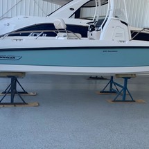 Boston Whaler 240 Dauntless