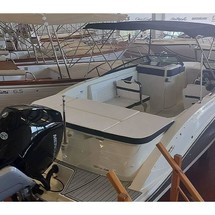 Sea Ray SPX 230 OB