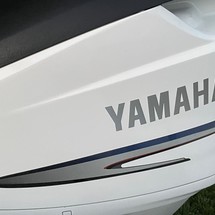 Campion 500ob
