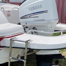 Campion 500ob