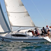 Northman Maxus 33.1 RS