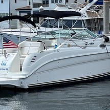 Sea Ray 260 Sundancer