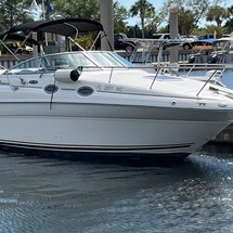 Sea Ray 260 Sundancer