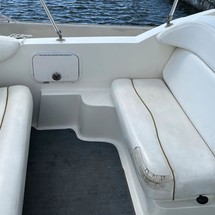 Sea Ray 260 Sundancer