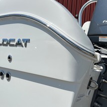 World cat 250 dc