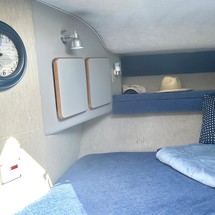 Sea ray sundancer