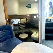 Sea ray sundancer