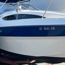 Bayliner 245