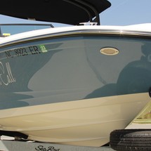 Sea Ray SPX 190 OB