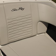 Sea Ray SPX 190 OB