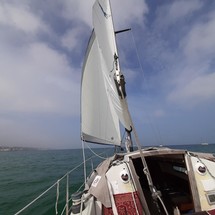 Sadler 25