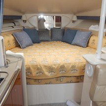 Wellcraft 290 Coastal