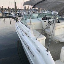 Sea ray sundancer