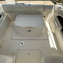 Sea ray 225 weekender