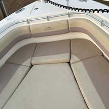 Cobia 217 center console