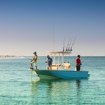 Boston Whaler 210 Montauk