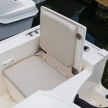 Boston Whaler 210 Montauk