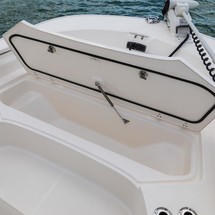 Boston Whaler 210 Montauk