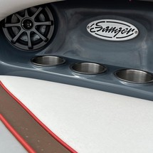 Sanger v237