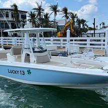 Boston Whaler 270 Dauntless