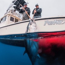 Parker 2820 XLD Sport Cabin