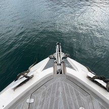 Cayman 50 wa