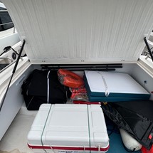 Cayman 50 wa