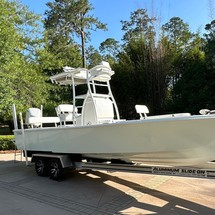 Domn8er 25 deck boat