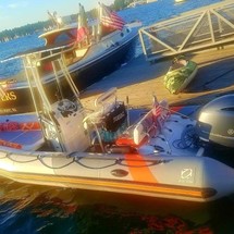 Zodiac Pro Open 650