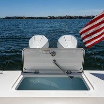 Boston Whaler 330 Outrage