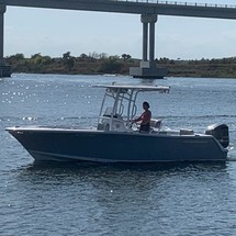 Sportsman heritage s 231
