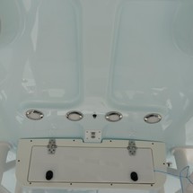 Sea Ray hunt ultra 211