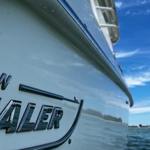 Boston Whaler 350 Realm